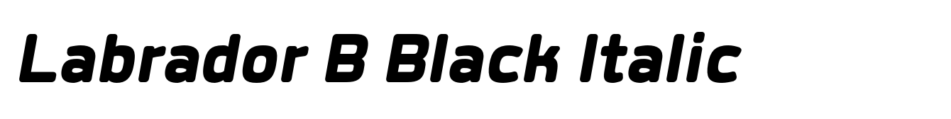 Labrador B Black Italic